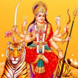 दुर्गा-माता-आरती