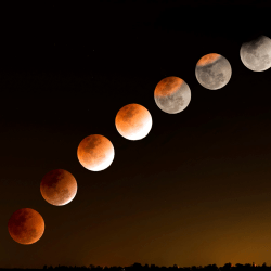 Partial Lunar Eclipse