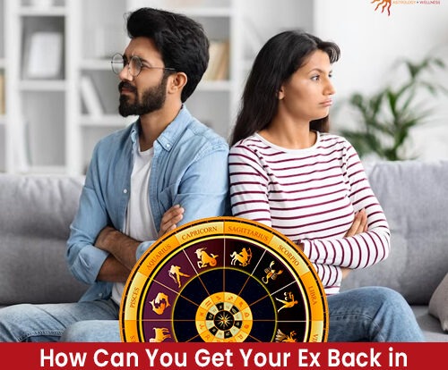 Ex Back in Your Life