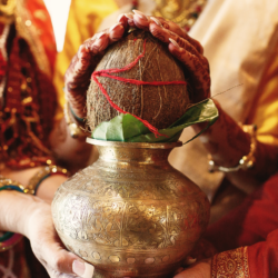 Manglik Dosha in Kundli and its effects on marriage with astrological remedies before wedding