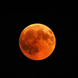 Blood Moon 2026 total lunar eclipse showing a deep red moon in the night