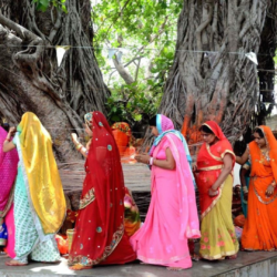 Vat Savitri Vrat with traditional puja thali and banyan tree worship