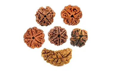 Buy Online Rudraksha