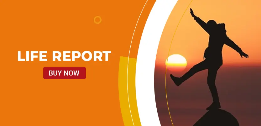 Life Report
