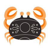 Cancer Icon